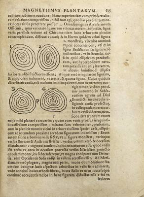 De Magnetica [...] Plantarum  p. 615